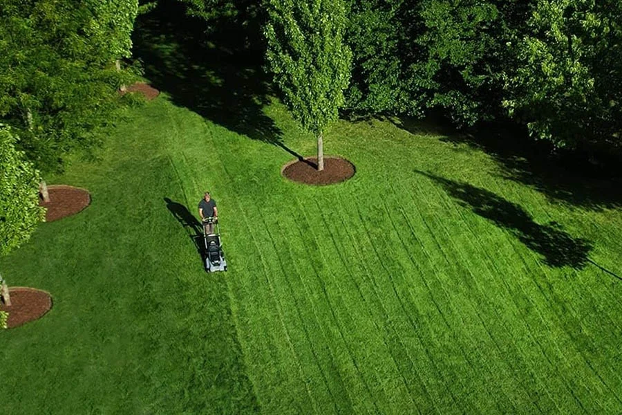 best cordless self propelled mower